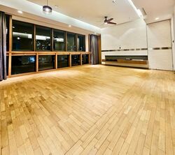 1 Moulmein Rise (D11), Apartment #584819211